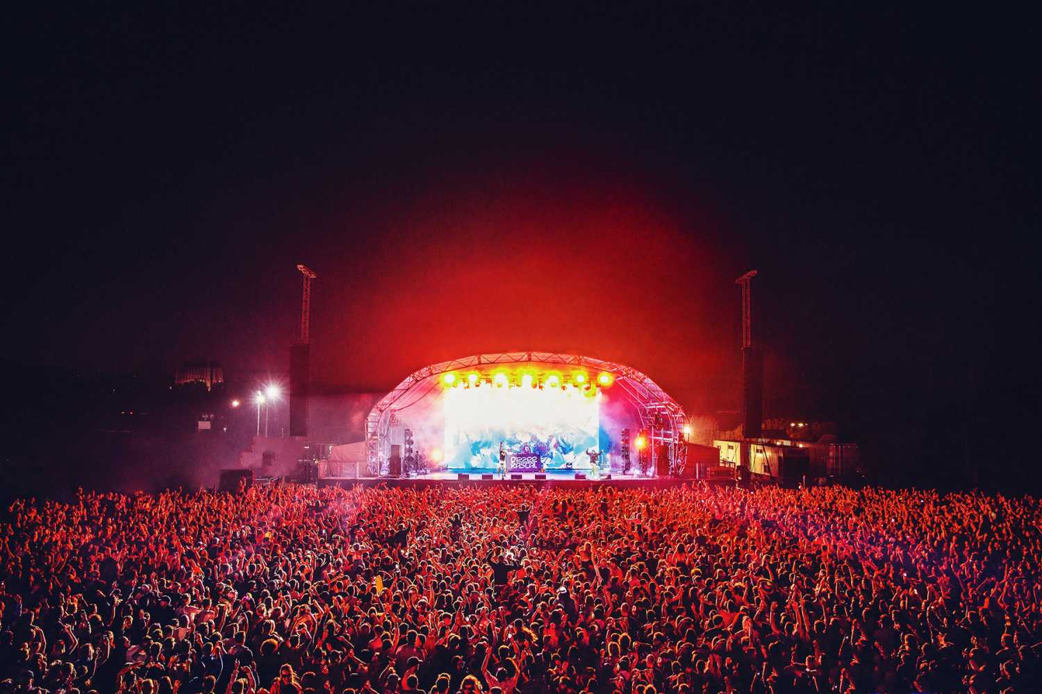 With 35,000 attending, Wild Life has become one of the biggest festivals in Sussex (photo: Sam Neil)