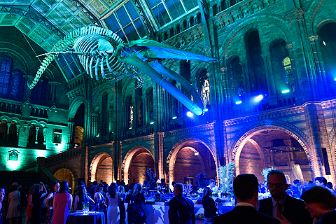 The Natural History Museum reveals a new-look Hintze Hall