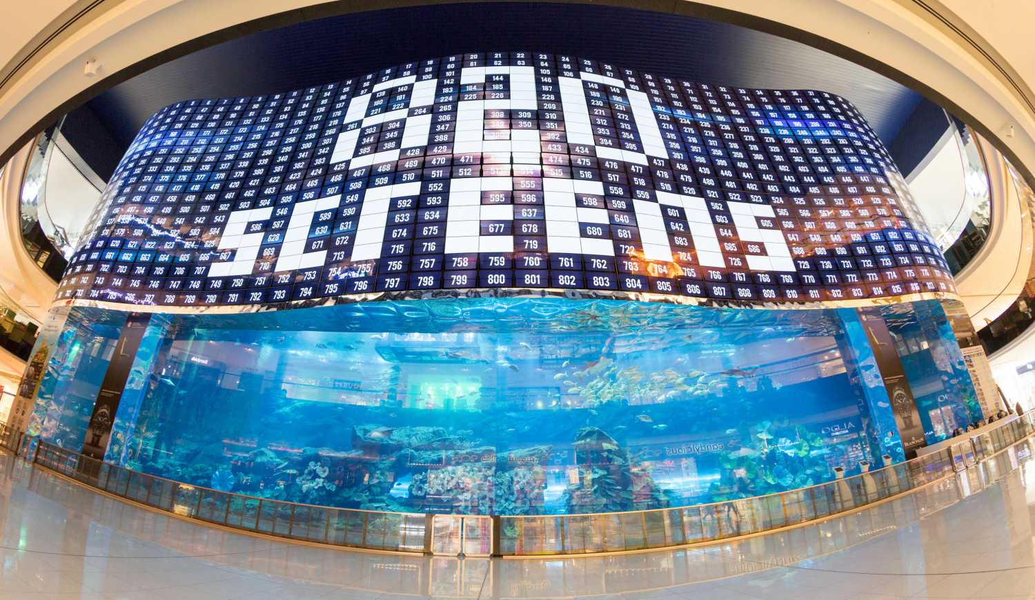 The new curved video wall above the Dubai Aquarium & Underwater Zoo