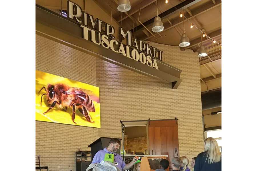 The FLEXLite NXG LED video system has revitalised the digital experience at the Tuscaloosa River Market