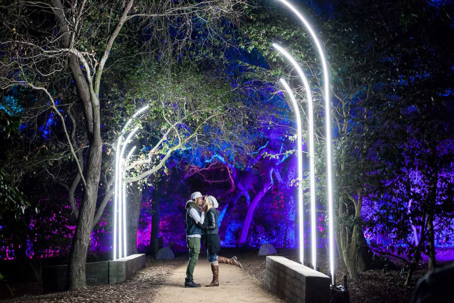 This year marked the second year Lightswitch has designed Enchanted Forest of Light at Descanso Gardens