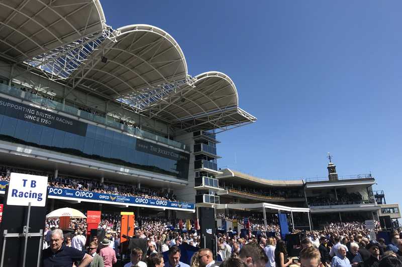 Newmarket - the home of horse racing Newmarket - the home of horse racing