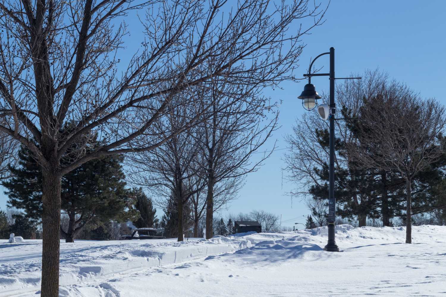 The Deva units installed in January have proved to be an asset during the park’s recent winter Lueurs Boréale theme (photo: Mario Leroux)