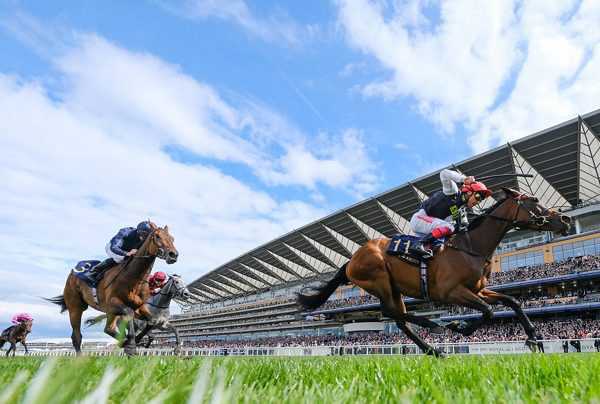 Ascot attracts 600,000 visitors each year during the usual 26 days of racing