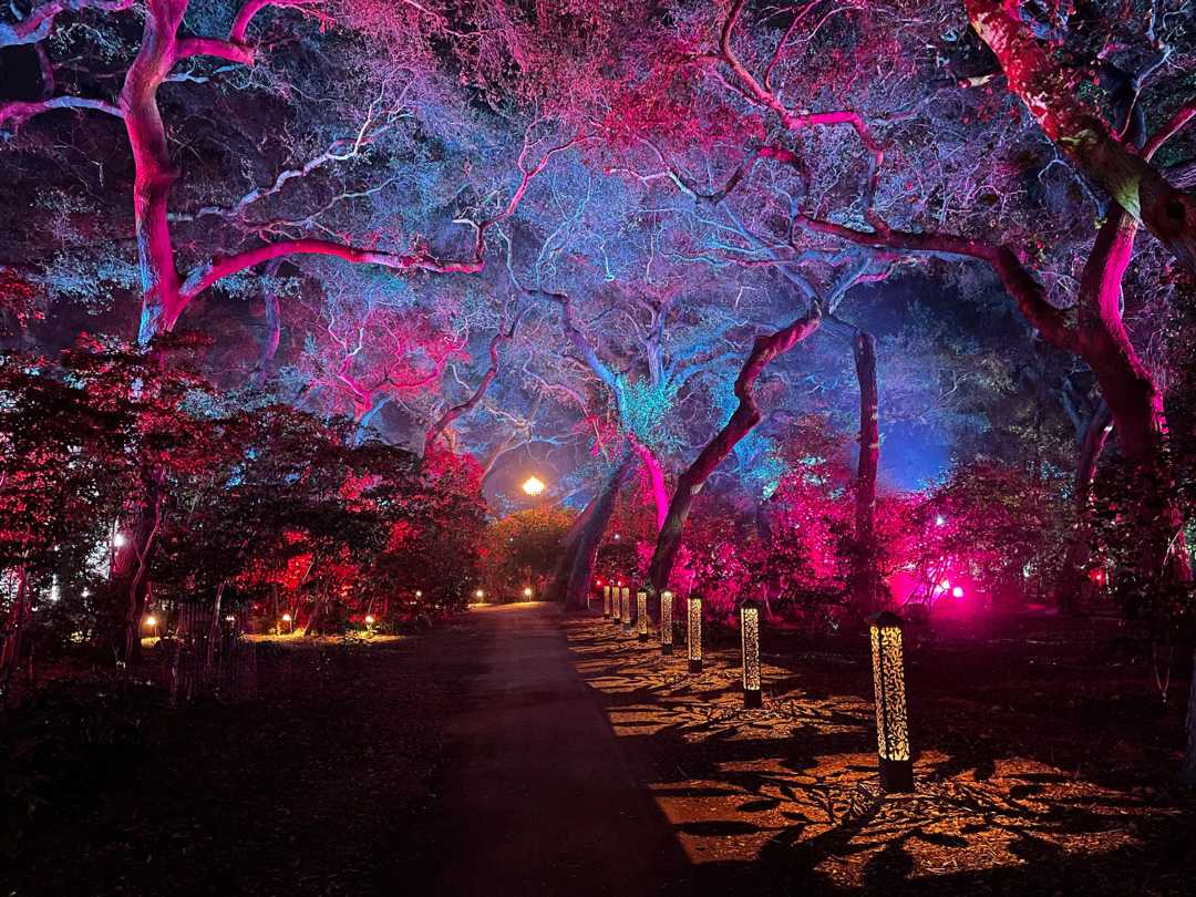 In Fantasy Forest, Proteus Maximus add a special layer of effect (photo: Chris Medvitz)