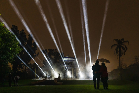Light Cycles used light and music to amplify and transform the beauty of nature