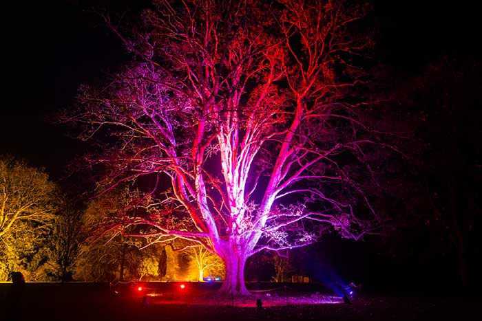 Winter Lights at Anglesey Abbey