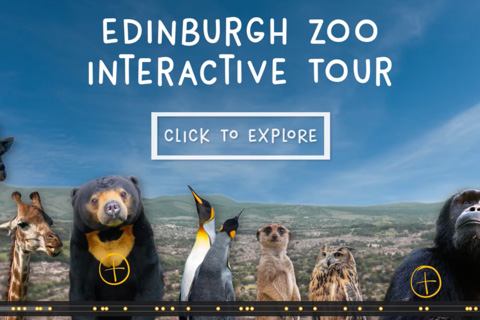 The video is now live on the Edinburgh Zoo website