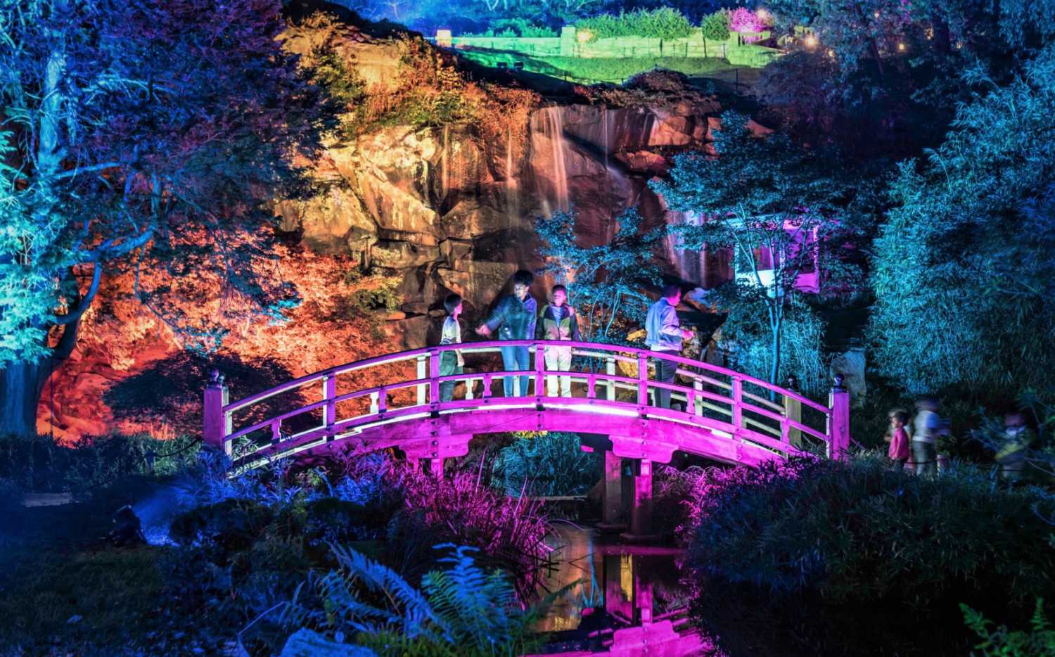 This year’s event was centred around the Japanese Garden section which included an authentic Japanese Moon Bridge (Dave Parrish Photography) This year’s event was centred around the Japanese Garden section which included an authentic Japanese Moon Bridge (Dave Parrish Photography)