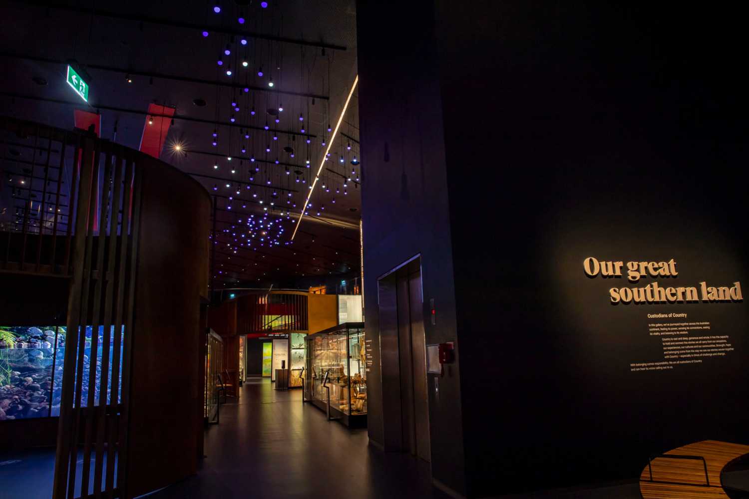 Starlings in the gallery (photo: Louise Stickland)