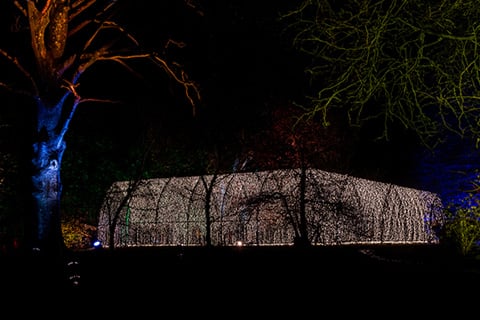 Christmas Cathedral by Mandylights at Dunham Massey (photo: Kat Gollock)