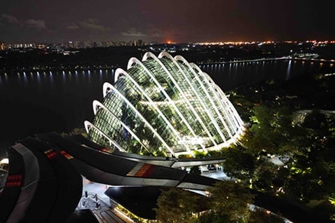 Ayrton’s Domino LT light up the Gardens on the Bay Conservatories