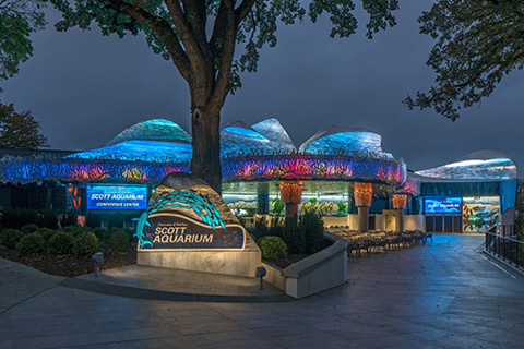 The Suzanne and Walter Scott Aquarium in Omaha Nebraska