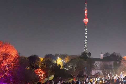 Sentech Tower dominates the Brixton skyline (photo: Heather Mason)